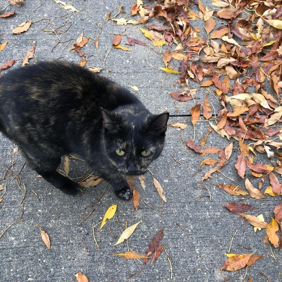 Meet your Posher, Polly. - Picture 4 of 5